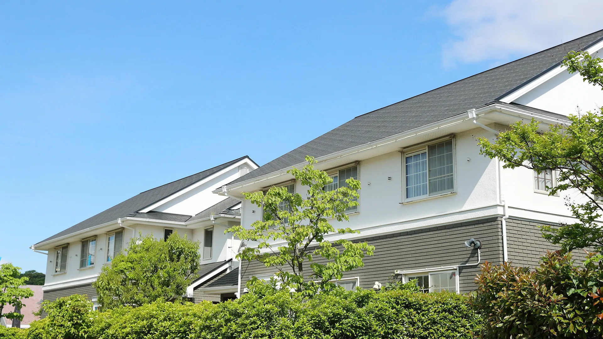 株式会社ブライ